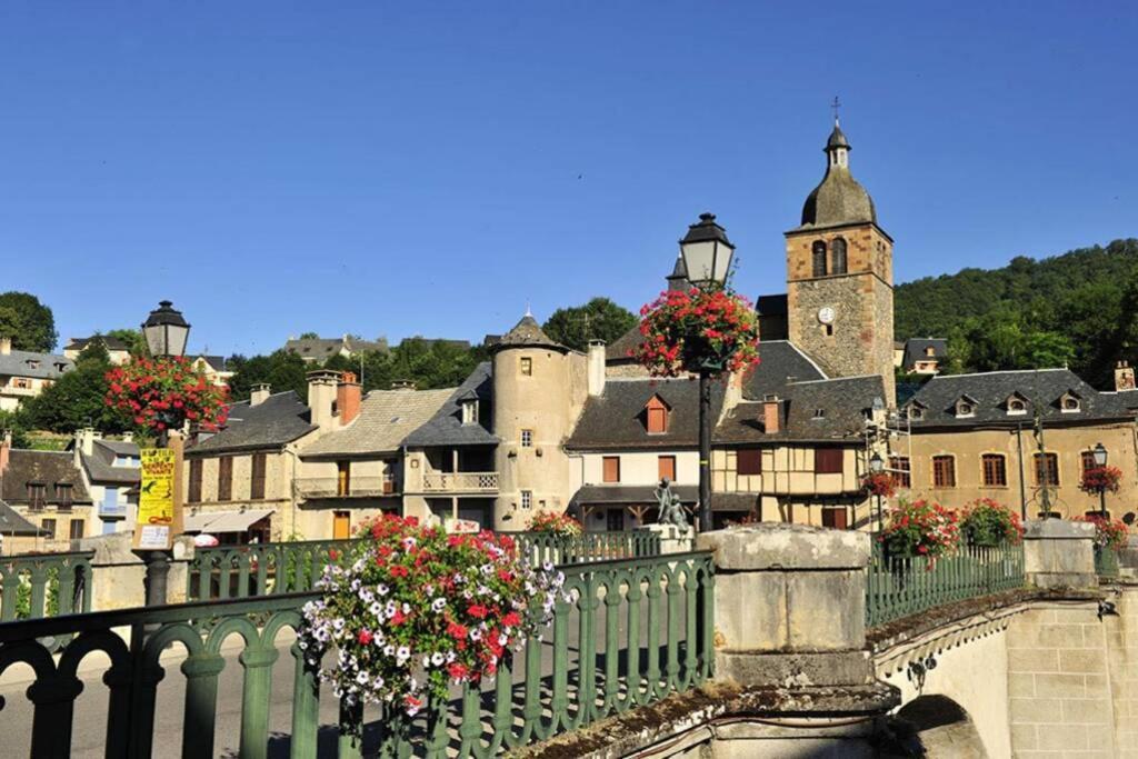 Au 11 T3 Duplex, Village Vacances, Piscines, Parking Saint-Geniez-d'Olt Exterior photo