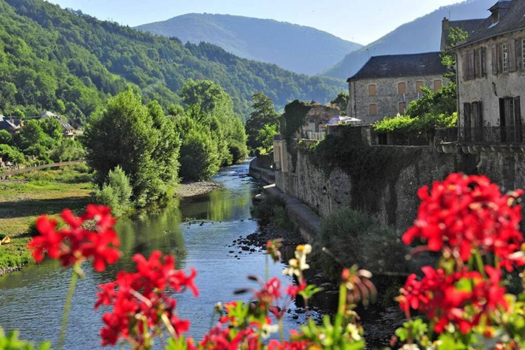 Au 11 T3 Duplex, Village Vacances, Piscines, Parking Saint-Geniez-d'Olt Exterior photo